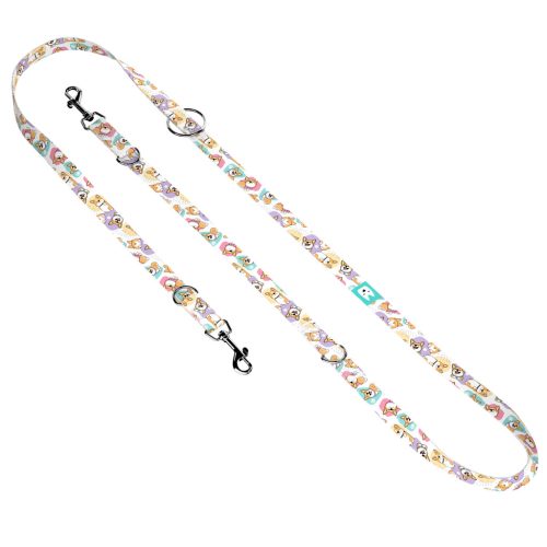 Pembroke Welsh Corgi - Tréning-és Oktatópóráz - Pembroke Welsh Corgi - april & june