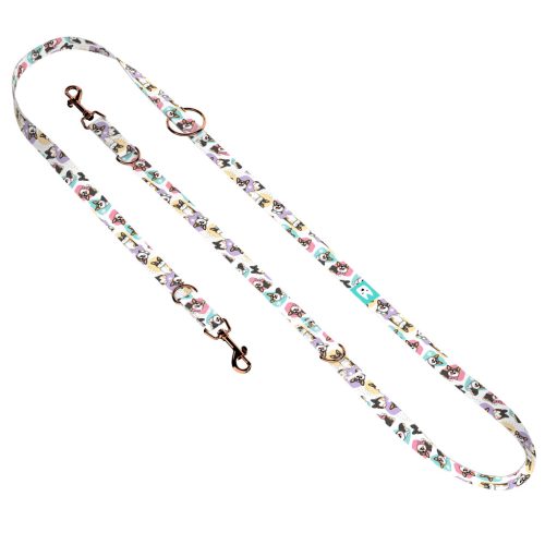 Pembroke Welsh Corgi, tricolor - Tréning-és Oktatópóráz - Pembroke Welsh Corgi, tricolor - april & june