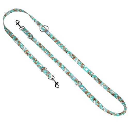 Jack russel terrier, kék - Tréning-és Oktatópóráz - Jack Russel Terrier, blue - april & june