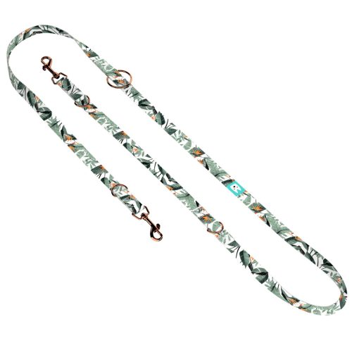 Papagájvirág - Tréning-és Oktatópóráz - Strelitzia - april & june