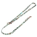 Papagájvirág - Tréning-és Oktatópóráz - Strelitzia - april & june