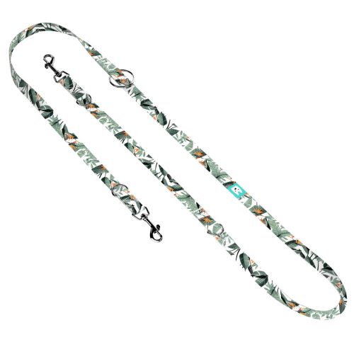 Papagájvirág - Tréning-és Oktatópóráz - Strelitzia - april & june