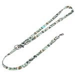 Papagájvirág - Tréning-és Oktatópóráz - Strelitzia - april & june