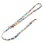 Dinók - Tréning-és Oktatópóráz - Dinosaurs - april & june