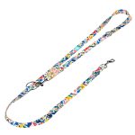 Dinók - Tréning-és Oktatópóráz - Dinosaurs - april & june