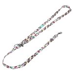 Cardigan Welsh Corgi - Tréning-és Oktatópóráz - april & june