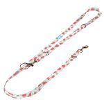 Dinnye - Tréning-és Oktatópóráz - Watermelon - april & june