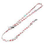 Dinnye - Tréning-és Oktatópóráz - Watermelon - april & june