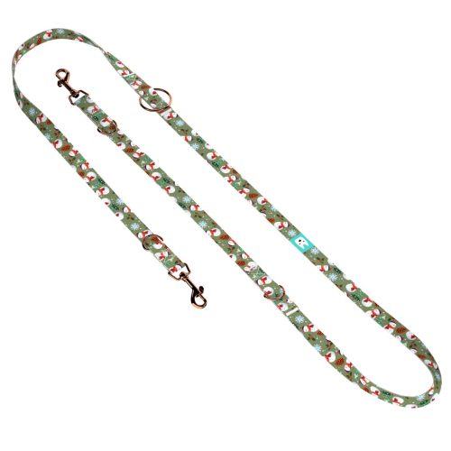 Téli fenyves - Tréning-és Oktatópóráz - april & june