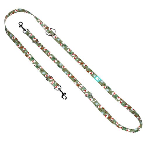 Téli fenyves - Tréning-és Oktatópóráz - april & june